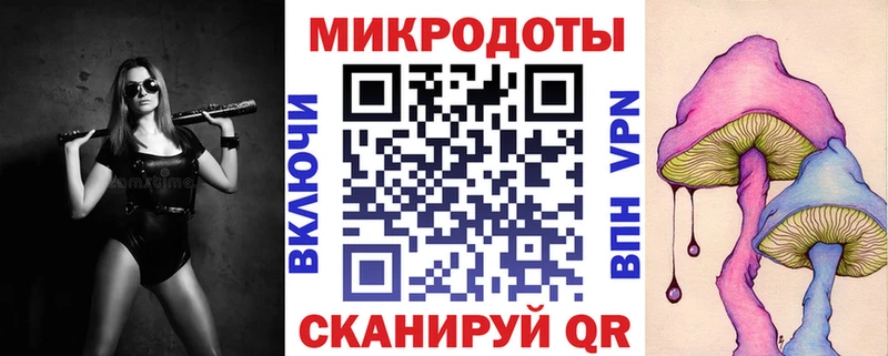 Псилоцибиновые грибы мицелий цены гидра онион Шилка