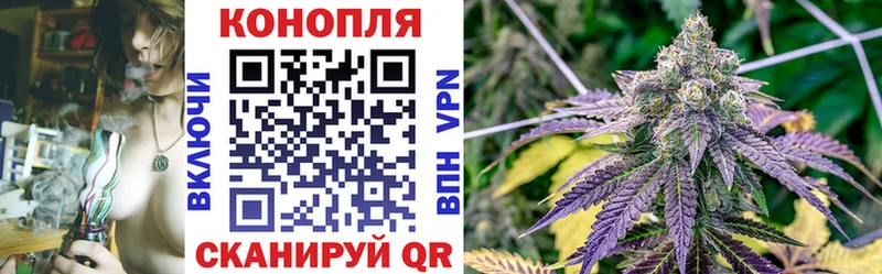 где продают наркотики  Шилка  даркнет телеграм  Каннабис SATIVA & INDICA 